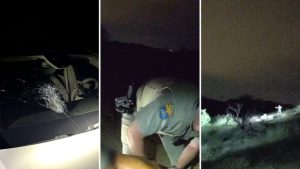 Rock Throwing Suspect Damages Five Cars On State Route 74 Arrested After Dps Cha