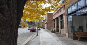 Roundup Voters To Decide On City Charter Change For Greater Blight Fighting Powe