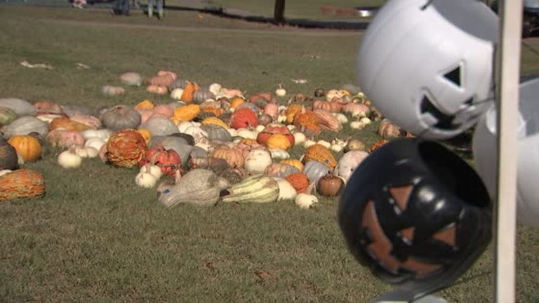 Route 66 Pumpkin Festival Offers Free Books And Family Sports Activities In Tuls