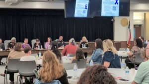San Antonio Town Hall Calls For Integrated Courts And Stronger Protective Orders