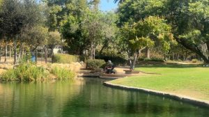 Santa Barbara Calls On Volunteers To Ready Parks For Upcoming El Ni O Storms