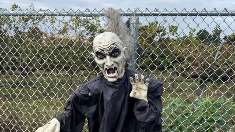 Santa Maria Offers Free Daytime Halloween Fun And Evening Haunted Maze For All A