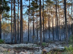 Santa Rosa Beach Fire Near Seacrest And Satinwood 90 Contained Residents Return