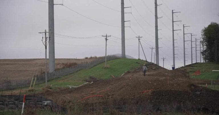 Sarpy County Road Work Near Papillion Dog Park Keeps Dogs Running While Paving F