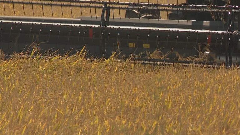 Sen John Boozman Tours Arkansas Rice Farms Pushes Bipartisan Farm Bill 2 0