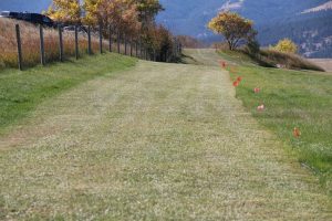 Sheridan And Johnson County High School Cross Country Results Highlight Upcoming