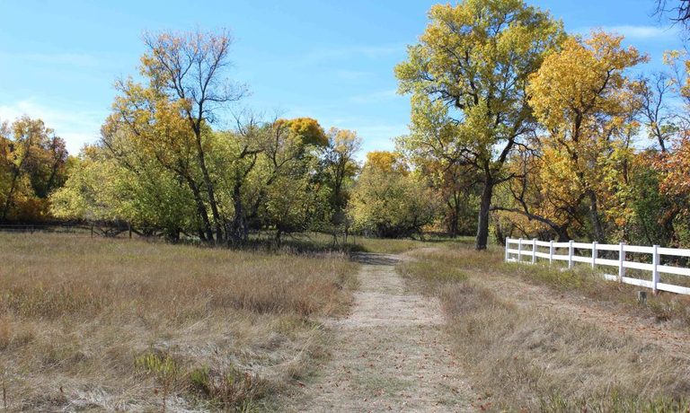 Sheridan Community Land Trust Gets Athletic Brewing Grant To Upgrade Big Goose T