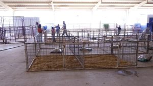 Somerset Isd Agricultural Barn Reopens With New Livestock After Tragic Dog Attac