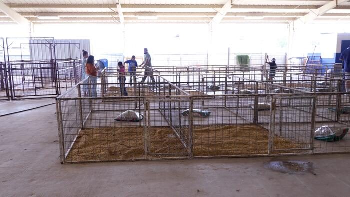 Somerset Isd Agricultural Barn Reopens With New Livestock After Tragic Dog Attac