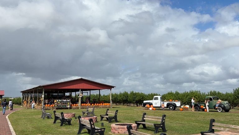 Southern Hill Farms Holds 11Th Annual Fall Festival In Clermont