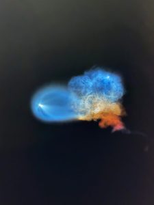 Spacex Crs 35 Launch Lights Up Bay Area Sky With Rare Space Jellyfish Display