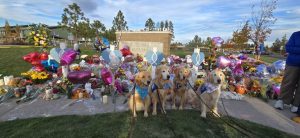 Spokane Valley Comfort Dog Isaac Travels To Bend To Aid Shooting Trauma Victims