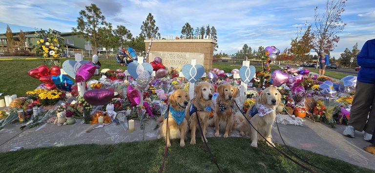 Spokane Valley Comfort Dog Isaac Travels To Bend To Aid Shooting Trauma Victims
