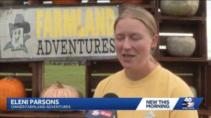 Springdale Farm Buys 10 000 Pumpkins To Meet Halloween Demand After Dry Season
