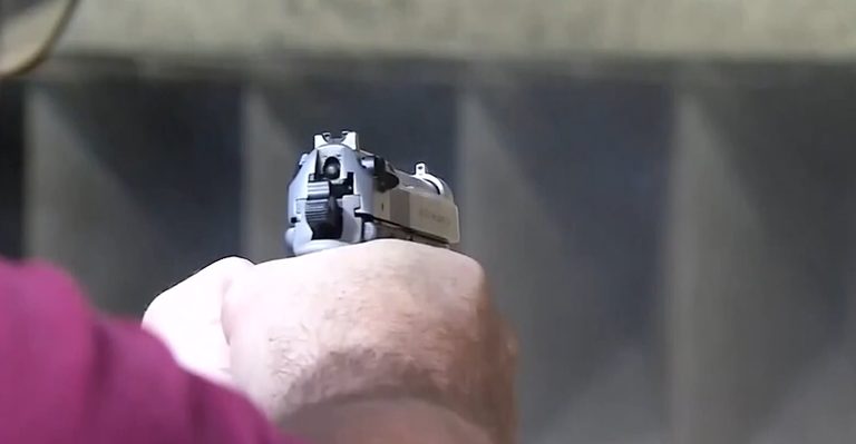 Springfield Police Seize 147 Illegal Firearms Through September