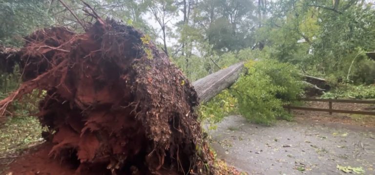 Springfield Residents Urged To Vet Hurricane Relief Charities Before Donating