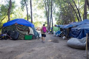 St Paul Council Moves To Pause Encampment Sweeps And Fund New Winter Shelter