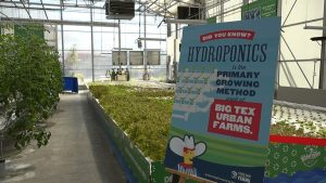 State Fair Greenhouse Feeds South Dallas With 2 Million Fresh Servings