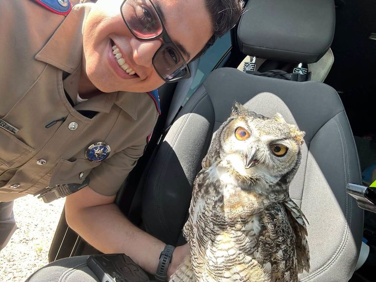 State Trooper Rescues Injured Great Horned Owl Treats It At El Paso Zoo