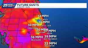 Strong Winds And Scattered Rain Expected Across Palm Beaches And Treasure Coast