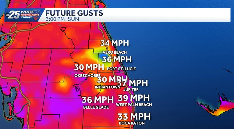 Strong Winds And Scattered Rain Expected Across Palm Beaches And Treasure Coast