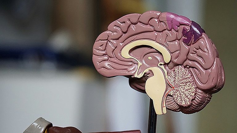 Study Finds Aging Brain Shifts Toward Wisdom Not Decline