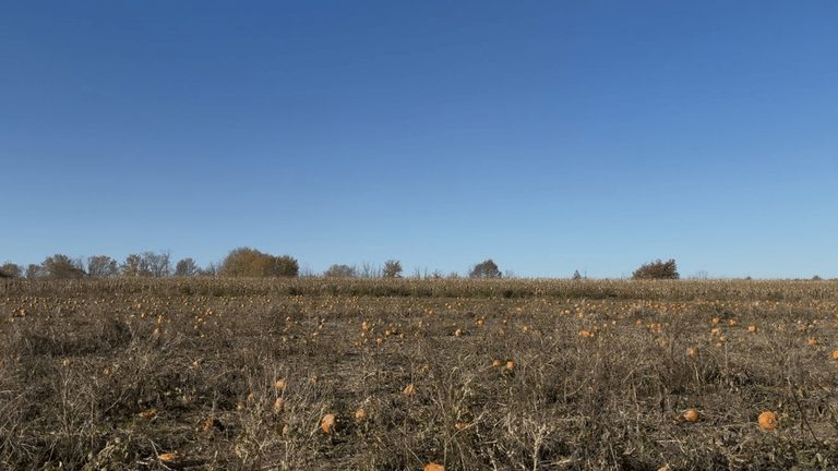 Syracuse October Weather Outlook Mild Temperatures And Light Sprinkles Ahead