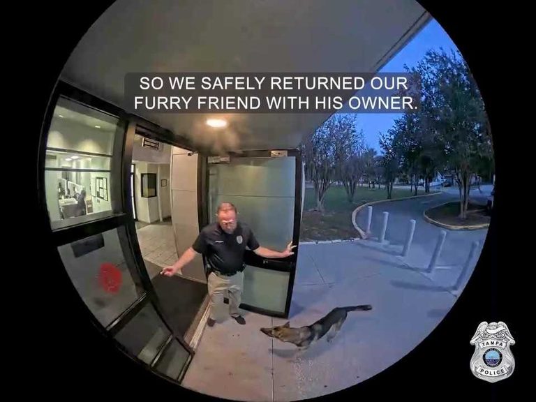 Tampa Police Reunite Missing Dog With Owner After Surprise Station Visit