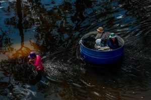 Thailand Cuts Egg Exports By Up To 50 After Floods Kill Millions Of Hens