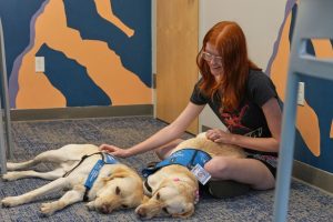 Therapy Dogs Bring Calm And Joy To Evergreen High School Students After Shooting