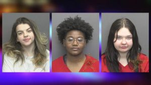 Three Women Arrested After Altercation With Evansville Police At Apartment Compl
