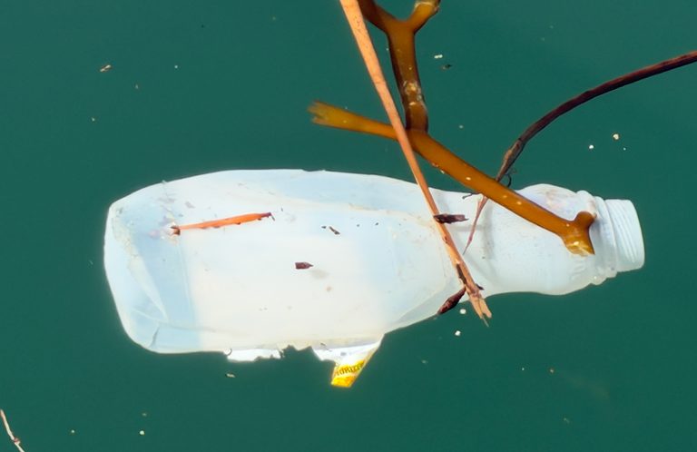 Tidy Seas Expands Year Round Coastal Cleanup Seeks Volunteers And Funds In Santa
