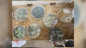 Toledo Family Given Two Weeks To Leave Mold Infested Rental Home
