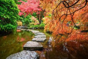 Top Fall Foliage Destinations Across North America For October Travel