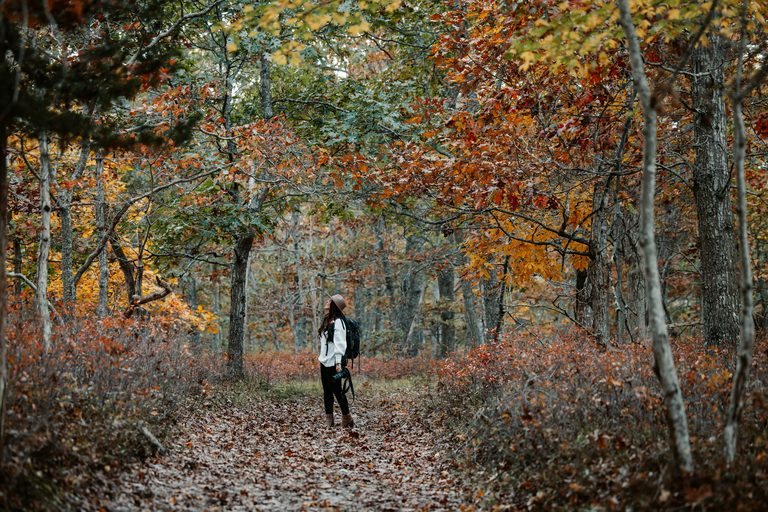 Top Southeast Minnesota Spots For Autumn Leaf Peeping This Weekend