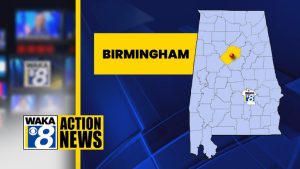 Tree Collapse Kills One In Birmingham As Hurricane Isaias Sweeps Alabama