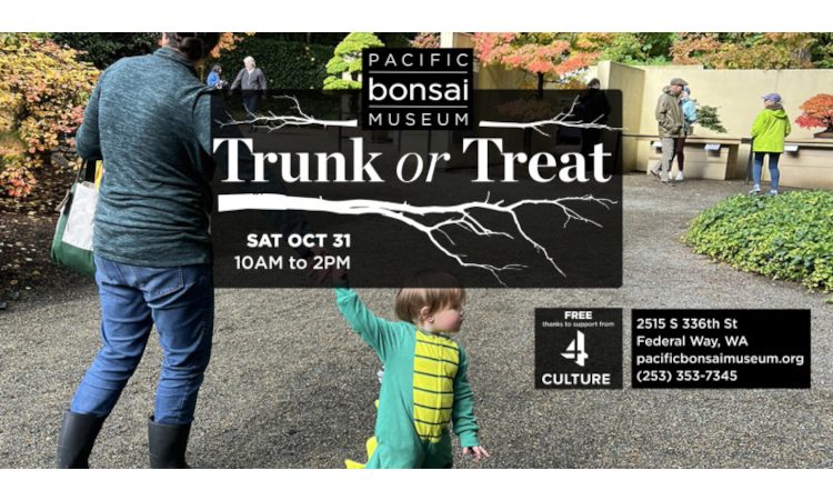Tree Trunk Or Treat At Pacific Bonsai Museum Federal Way