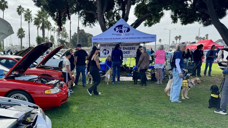 Tri County Mustang Club S Ponies By The Sea Car Show Raises Funds For Guide Dogs
