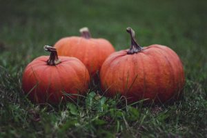 Trick Or Treat Fish Creek Halloween Fun In Anchorage
