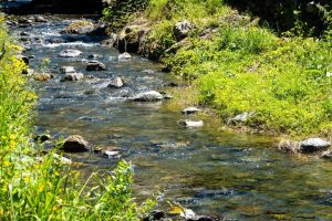 Trump Epa Announces New Tech Strategy To Tackle Pfas Contamination In Georgia Wa