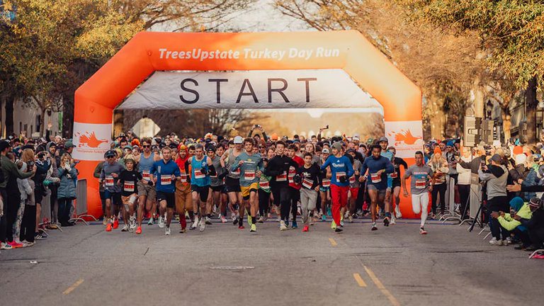 Turkey Day Run Offers Free Trees To Boost Upstate Greener Living