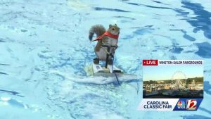 Twiggy The Waterskiing Squirrel Bids Farewell To Carolina Classic Fair