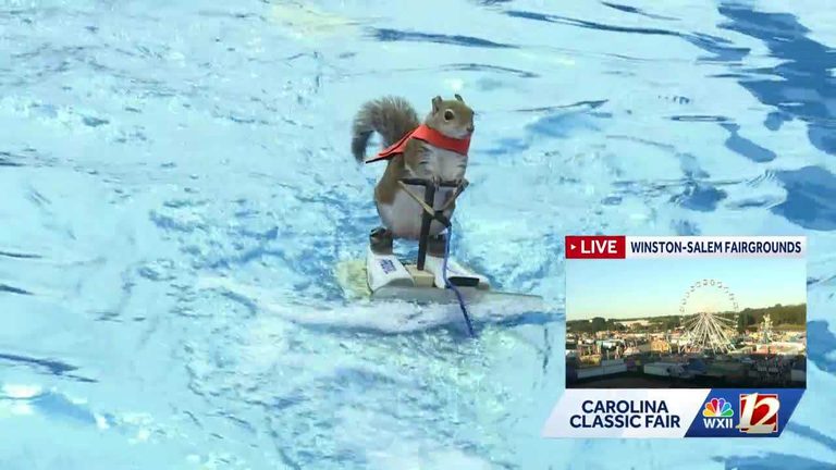 Twiggy The Waterskiing Squirrel Bids Farewell To Carolina Classic Fair