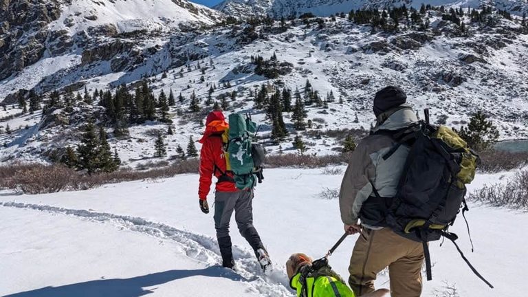 Two Colorado College Students Found Dead After Mountain Hiking Accident