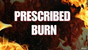 U S Forest Service Schedules Prescribed Burn Near Custer To Reduce Wildfire Risk