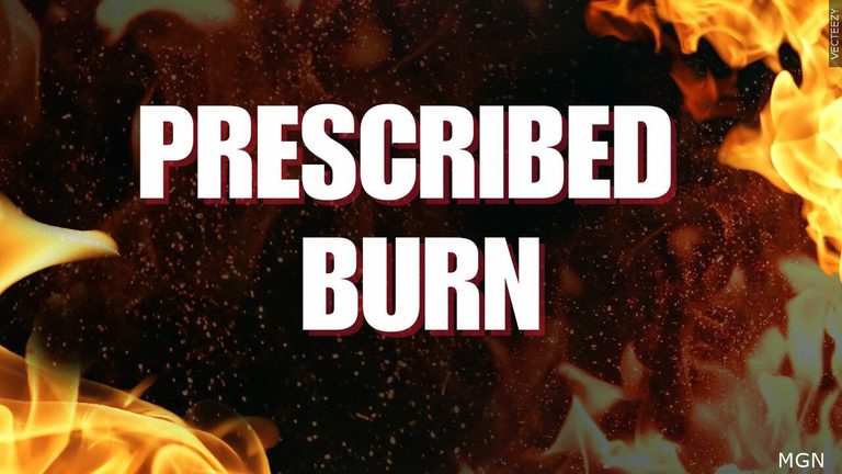U S Forest Service Schedules Prescribed Burn Near Custer To Reduce Wildfire Risk