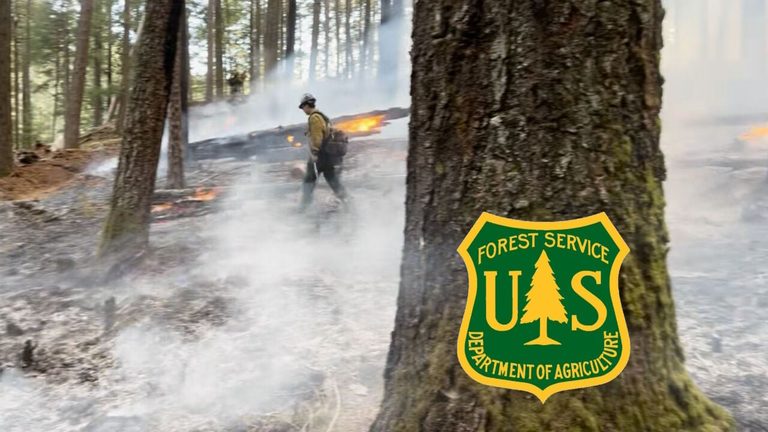 U S Forest Service Schedules Prescribed Burns Near Reno And Carson City To Cut W