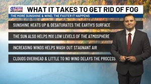 Understanding Why Fog Lingers In Toledo During The Fall Season
