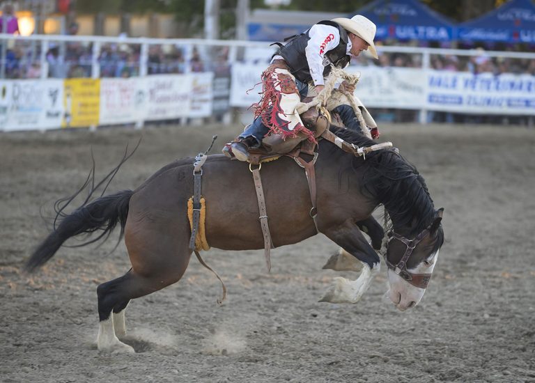 Upcoming Salem Events Scare At The Fair Rodeo Championships Rocky Horror Show