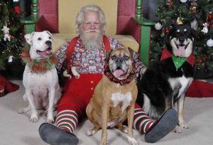 Vanderburgh Humane Society To Host Pet Pictures With Santa At Washington Square